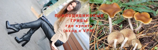 скорость Няндома