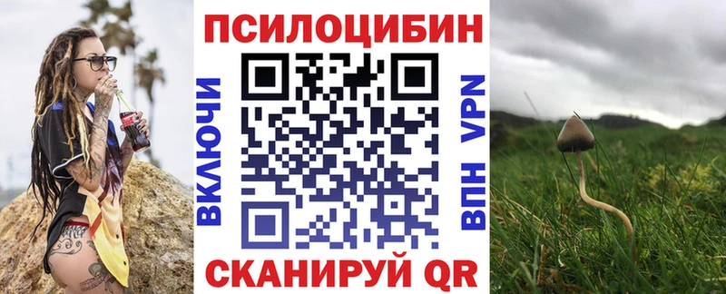 mega как войти  даркнет наркотические препараты  Салават  Псилоцибиновые грибы мухоморы  купить  