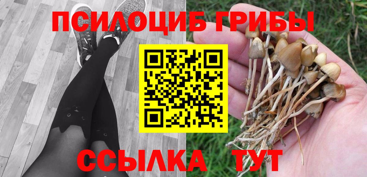 Псилоцибиновые грибы мухоморы Салават