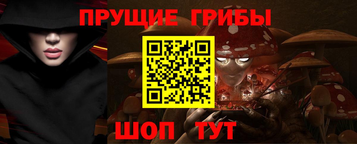 Галлюциногенные грибы прущие грибы  Галлюциногенные грибы GOLDEN TEACHER  Салават 